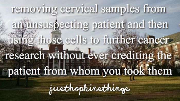 14993299_1537039026323074_5061946646211328978_n