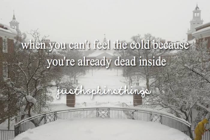 15073296_1815081762039635_6279704042712242724_n