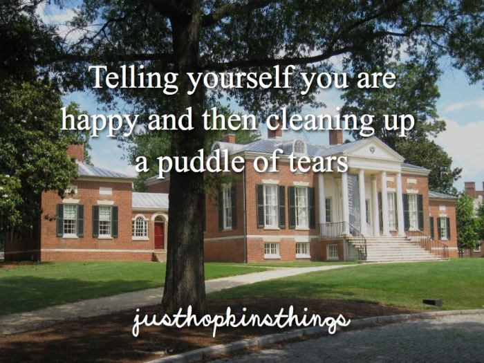 15095643_1372462529433328_2843263385797872042_n