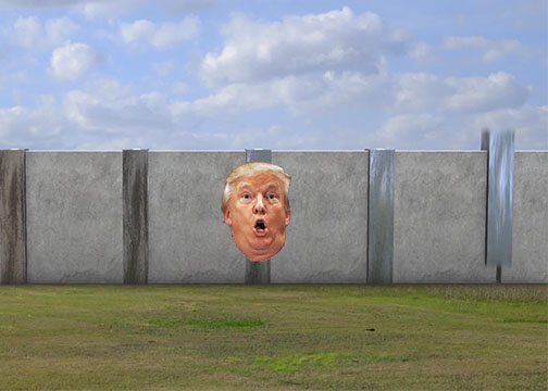 wall-trump